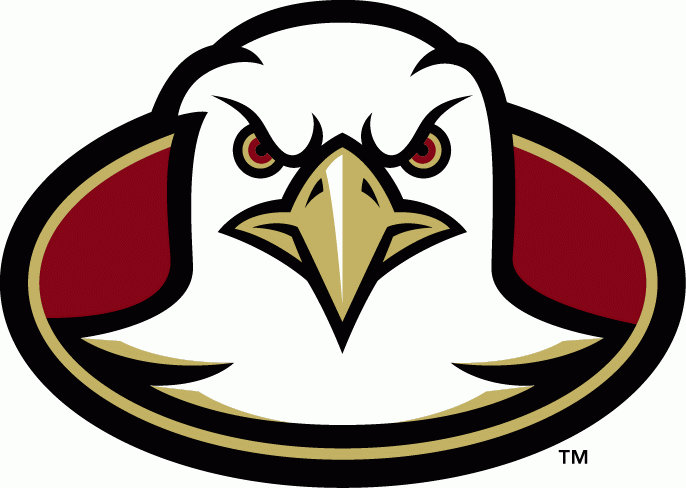 Boston College Eagles 2001-2004 Alternate Logo t shirts iron on transfers